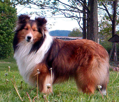 photo of Ciarnin