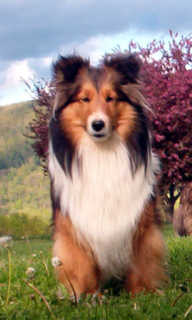 photo of Ciarnin